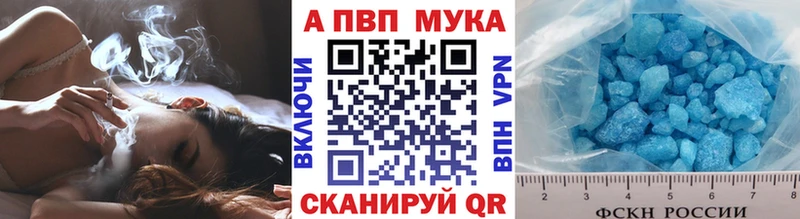 Псилоцибиновые грибы Судак