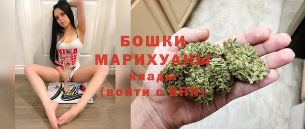 трава Аркадак