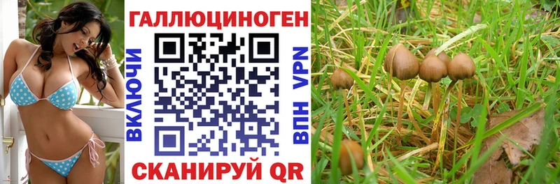 Галлюциногенные грибы ЛСД  Судак 